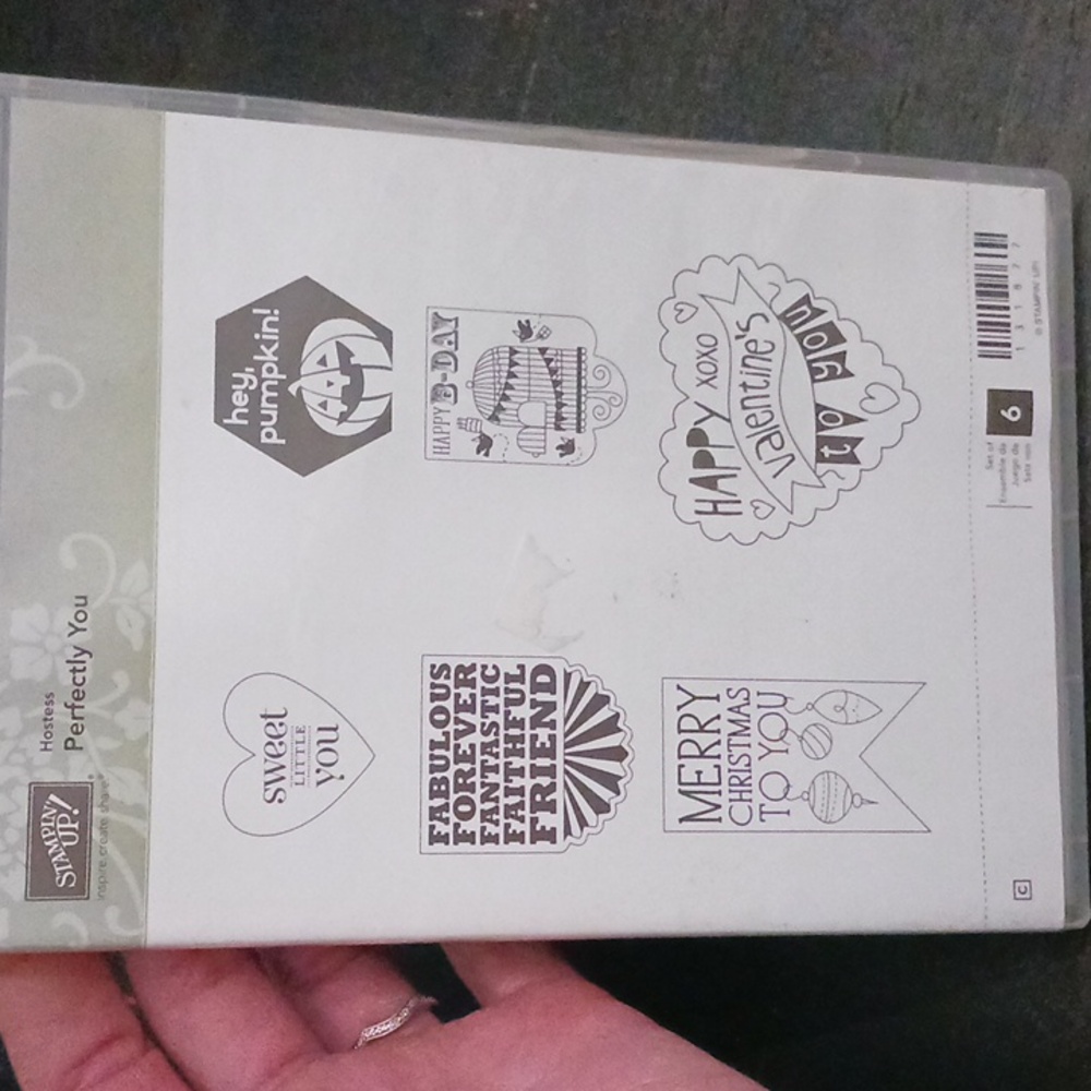🔹️Stampin'Up! Perfectly You stamp set of 6